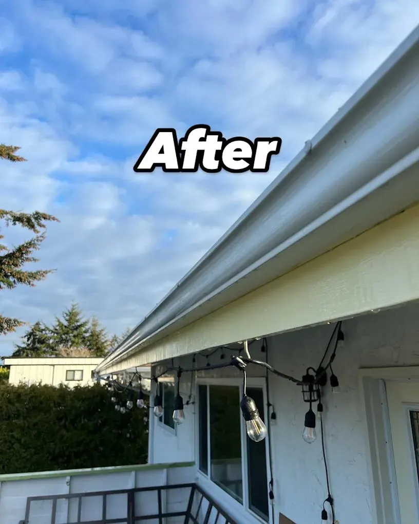 After: the same gutter face bright and clean under a blue sky