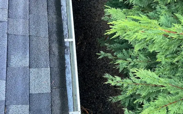 A cleared gutter run photographed from the roof, hedge and garden below