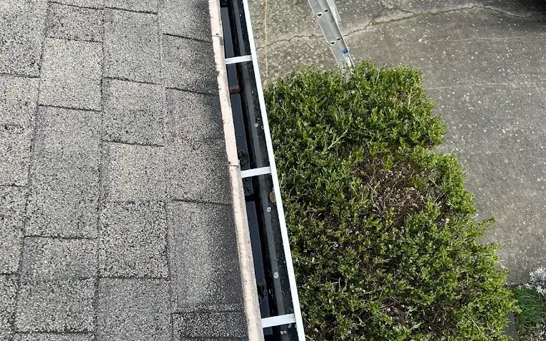 Looking down a cleared gutter to the ladder, hedge and driveway below