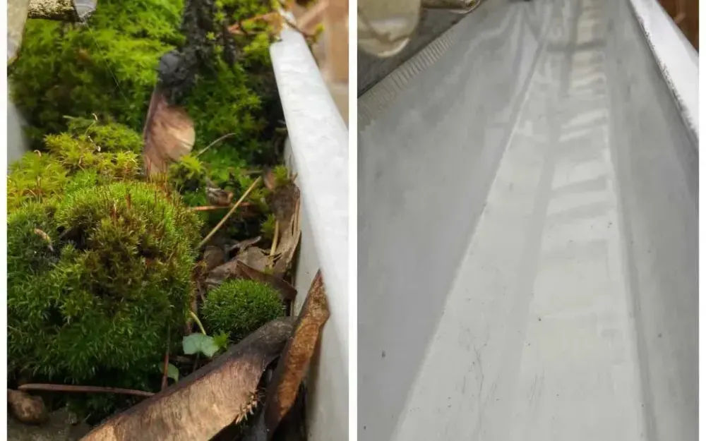Before and after: an eavestrough packed with moss and debris, then cleared