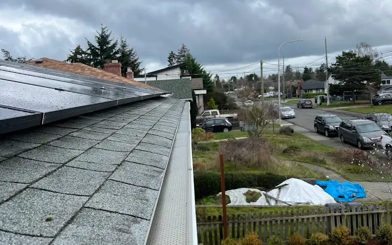 A perforated gutter guard fitted along a gutter run beside roof solar panels
